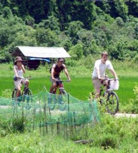 Hậu cần nghề cá Tàu ra đảo Cô Tô Một số hoạt động du lịch cộng đồng 24