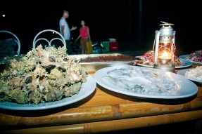 Tổ chức tiệc BBQ tại bờ biển Tuyến tham quan – nghỉ dưỡng Tượng đài Bác 9