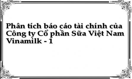 Phân tích báo cáo tài chính của Công ty Cổ phần Sữa Việt Nam Vinamilk - 1