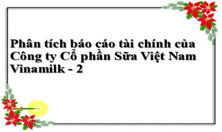 Phân tích báo cáo tài chính của Công ty Cổ phần Sữa Việt Nam Vinamilk - 2
