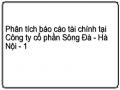 Phân tích báo cáo tài chính tại Công ty cổ phần Sông Đà - Hà Nội - 1