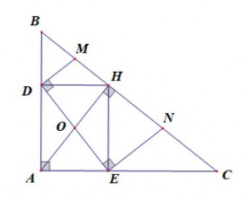Hình 1 14 C 1 DE D 1 C 1 W D 2 C 2 ADEH là hình chữ nhật W Dấu hiệu 1