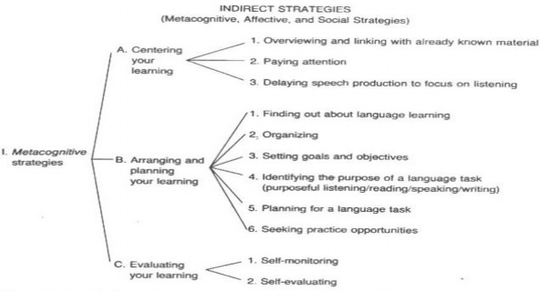 Source Oxford 1990 pp 20 21 APPENDIX 3 QUESTIONNAIRE ON LANGUAGE LEARNING STRATEGIES 2
