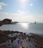 Ảnh chụp cầu cảng xuất clanke trên vịnh Cửa Lục Khai trường Núi Béo Khai 3