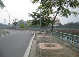 KS Seraton Lan can sắt Đường vành đai đoạn Thuỵ Khuê Đường Thuỵ Khuê Cây xanh 1