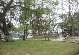 Hình 3 2 Một số loại cây xanh ven đường Thảm thực vật trong những vùng đất 1