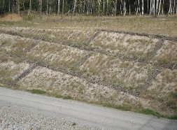 Hình 1 1 Gia cố sườn bãi thải tại CHLB Đức Ưu điểm của phương pháp này là 1