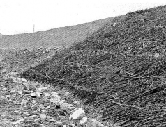 Hình 1 1 Gia cố sườn bãi thải tại CHLB Đức Ưu điểm của phương pháp này là 2