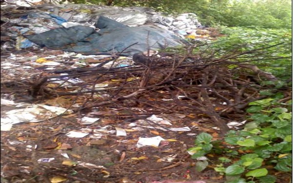 Rác thải đổ ra các khu đất trống Chất thải xây dựng đổ ra các khu đất 6