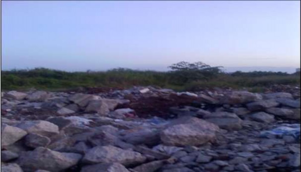 Chất thải xây dựng đổ ra các khu đất trống ngoài đê Phụ lục 3 Số doanh 7