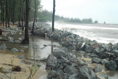 Hình 3 67 Thả rọ đá chống xâm thực của sóng biển tại xã Hải Dương 6