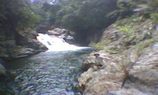 Thác Cổng Trời Hoa Cau rừng Hoa Rừng 2