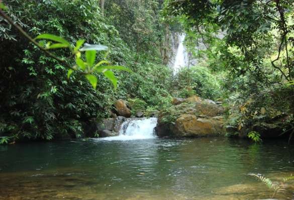 Thác Thang Đày nhìn từ xa Thác Thang Đày cận cảnh Bướm rừng Vũ Quang 2 Tuyến 1