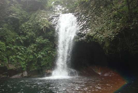 Thác nước ở suối Nam Châm Phụ lục 5 Một số hình ảnh của các loài quý 10