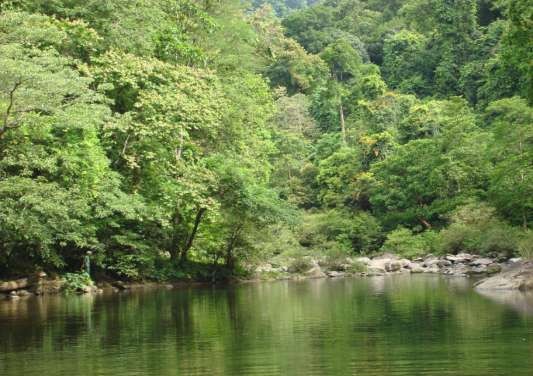 Bình minh trên đường vào khe Nam Châm gần thành Cụ Phan Một góc của suối Nam 8