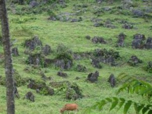 Hình 3 9 Bãi đá tai mèo kỳ lạ 28 Với những lợi thế như trên hoạt động 2