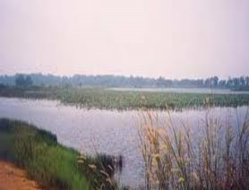 Hình 1 3 Các moong khai thác thiếc ngập nước lâu ngày năm 1997 Hình 1 4 Khu bảo 3