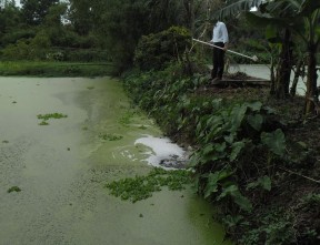 Hệ thống các hồ sinh học xử lý nước thải bệnh viện Việt Nam – Thụy 11