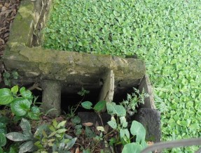 Hệ thống các hồ sinh học xử lý nước thải bệnh viện Việt Nam – Thụy 12