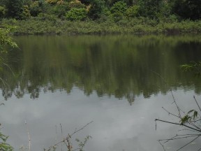 Hệ thống các hồ sinh học xử lý nước thải bệnh viện Việt Nam – Thụy 8