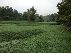 Hệ thống các hồ sinh học xử lý nước thải bệnh viện Việt Nam – Thụy 9