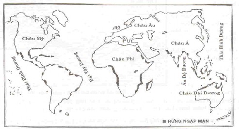 Hình 1 1 Bản đồ phân bố rừng ngập mặn trên thế giới Phan Nguyên Hồng 1