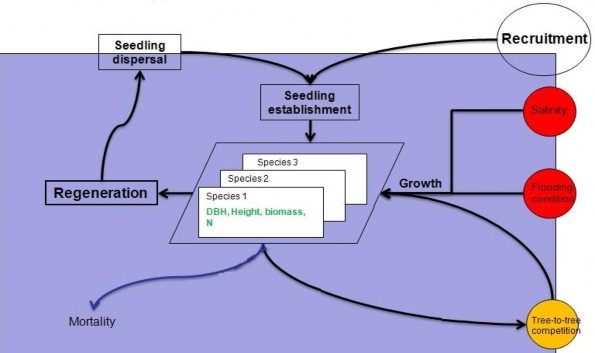 Hình 2 3 Sơ đồ thiết kế cấu trúc khái niệm của mô hình CGMM Hai kiểu cấp 1