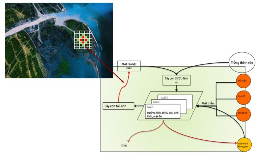 Hình 2 4 Sơ đồ thiết kế cấu trúc khái niệm của mô hình tại khu vực nghiên 1