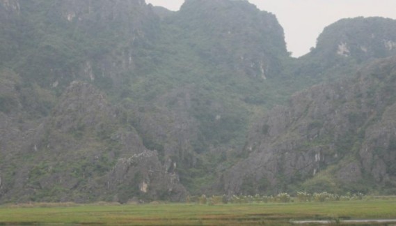 Hình 12 gia tăng loài chim di cư 10