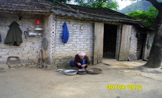 Hình 4 Hoạt động khai thác ốc trong KBT Hình 5 Hoạt động trồng cây lâu năm 4