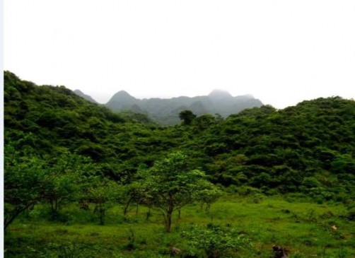 Hình 5 Hoạt động trồng cây lâu năm trong KBT Hình 6 Hoạt động canh tác nông 5