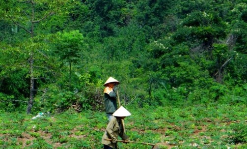 Hình 6 Hoạt động canh tác nông nghiệp trong KBT Phu lục 4 Hình ảnh những kết 6