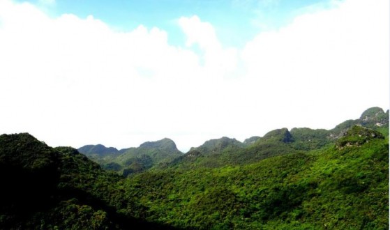 Hình 10 Gia tăng diện tích che phủ rừng Hình 11 Thiên nhiên hùng vĩ tại Vân Long 8