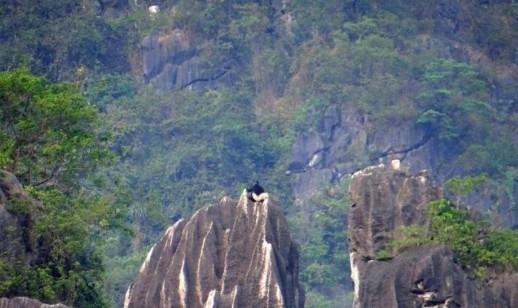 Hình 11 Thiên nhiên hùng vĩ tại Vân Long Hình 12 gia tăng loài chim di cư 9