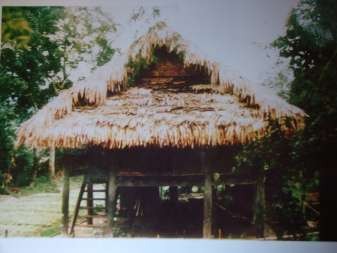 Phụ lục 5 Bảng hỏi phỏng vấn sâu Áp dụng cho 4 trưởng bản nghiên cứu và 7