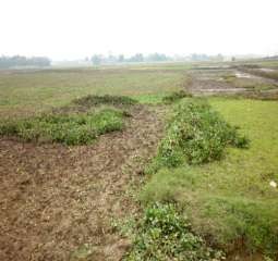 Hình 3 27 3 28 Nông dân ở xã Thanh Vân – Tam Dương phải rất vất vả rọn bỏ 7