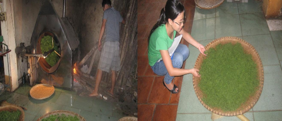Ảnh Quá trình diệt men Ảnh Chè sau khi được diệt mem Ảnh Phân loại chè 2