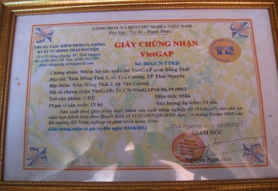 Hình11 Giấy chứng nhận VietGap của 13 hộ gia đình Trong xã có Hợp tác xã 4