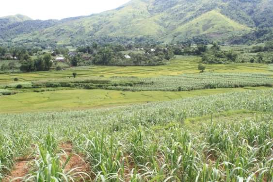 Nghiên cứu tính dễ bị tổn thương và năng lực thích ứng với biến đổi khí hậu của cộng đồng xã Tây Phong huyện Cao Phong tỉnh Hòa Bình 11 4