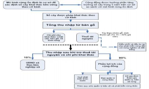 Hình 1 2 Sơ đồ cơ chế hưởng lợi Hiện trạng vấn đề QLRCĐ ở Việt Nam 1