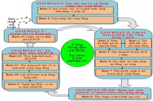 Hình 1 3 Chu trình quản lý rừng cộng đồng 1 2 3 Quản lý rừng cộng đồng tại 2