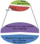 Hình 3 14 Thành phần dân tộc – Cơ cấu lao động – Phân loại kinh tế hộ Các 10