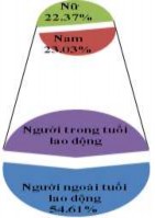 Hình 3 8 Thành phần dân tộc – Cơ cấu lao động – Phân loại kinh tế hộ Các 2