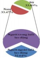 Hình 3 22 Thành phần dân tộc – Cơ cấu lao động – Phân loại kinh tế hộ 11