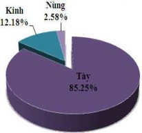 Hình 3 24 Thành phần dân tộc – Cơ cấu lao động – Phân loại kinh tế hộ 15