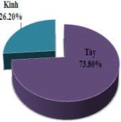Hình 3 28 Thành phần dân tộc – Cơ cấu lao động – Phân loại kinh tế hộ Các 20
