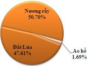 Hình 3 19 Hiện trạng sử dụng đất tại thôn Công Quản Các biểu đồ trên cho 5