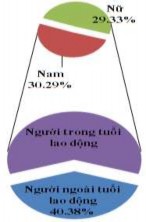 Hình 3 20 Thành phần dân tộc – Cơ cấu lao động – Phân loại kinh tế hộ 7