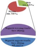 Hình 3 32 Thành phần dân tộc – Cơ cấu lao động – Phân loại kinh tế hộ Các 4