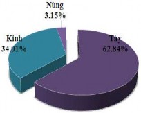 Hình 3 46 Thành phần dân tộc – Cơ cấu lao động – Phân loại kinh tế hộ Các 8